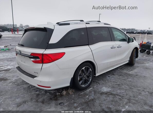 5FNRL6H98PB014907 2023 HONDA ODYSSEY White Tył prawy