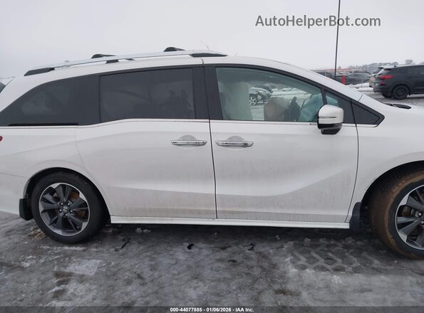 5FNRL6H98PB014907 2023 HONDA ODYSSEY White Widok wnętrza z tyłu
