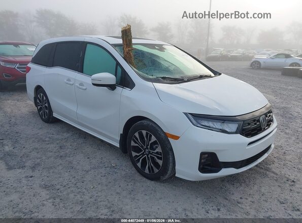 5FNRL6H99TB019513 2026 HONDA ODYSSEY Белый Передняя правая четверть