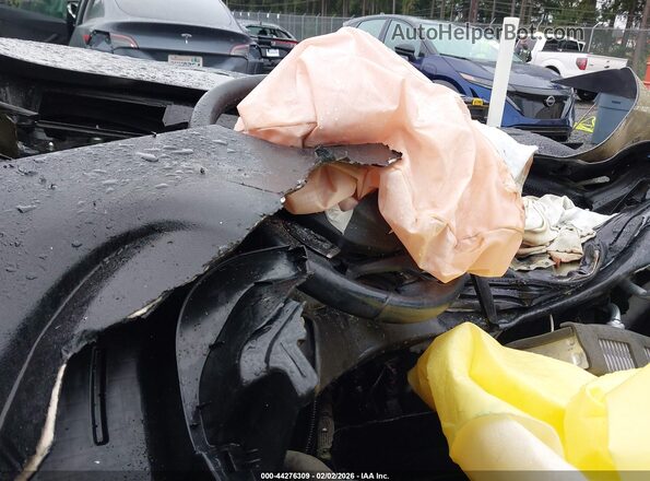 5FNYF6H52KB037494 2019 HONDA PILOT Серый Вид задних сидений