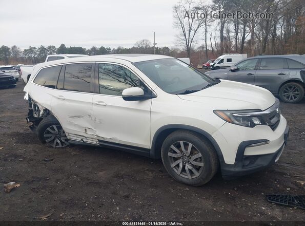 5FNYF6H55KB011181 2019 HONDA PILOT Белый Вид задней части салона