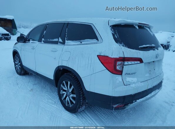 5FNYF6H57MB101256 2021 HONDA PILOT White Tył lewy