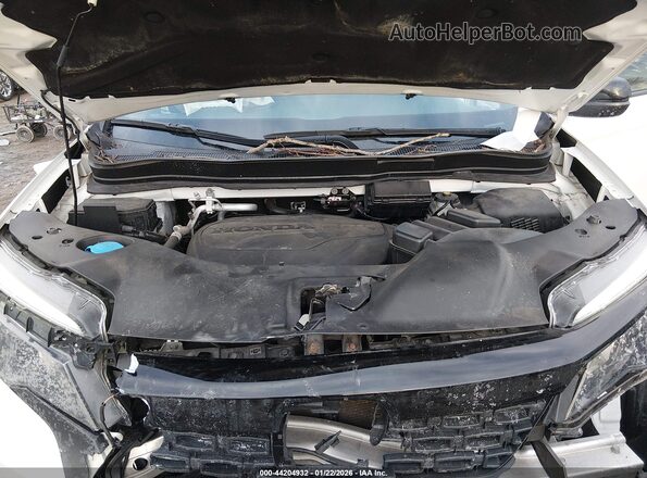 5FNYF8H24MB019776 2021 HONDA PASSPORT White Rear view