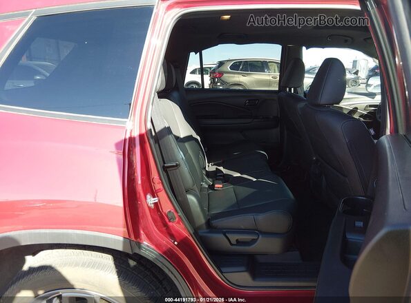 5FNYF8H56PB011905 2023 HONDA PASSPORT Красный Вид наклейки с VIN-кодом