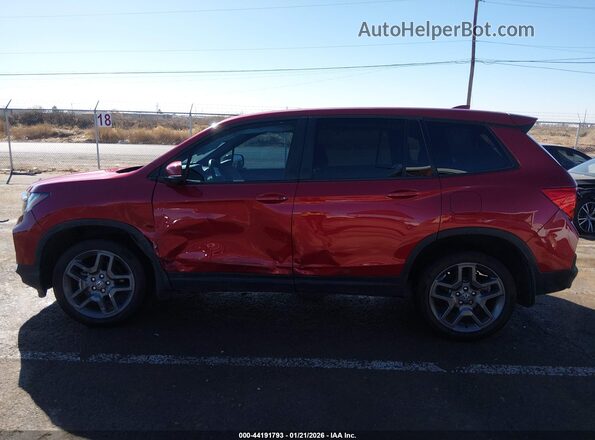 5FNYF8H56PB011905 2023 HONDA PASSPORT Красный Панорамный вид салона 360°