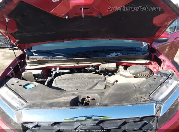 5FNYF8H56PB011905 2023 HONDA PASSPORT Красный Вид сзади