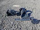 2024 Honda Passport Trail Sport Черный vin: 5FNYF8H61RB019633 2024 Honda Passport Trail Sport Черный vin: 5FNYF8H61RB019633