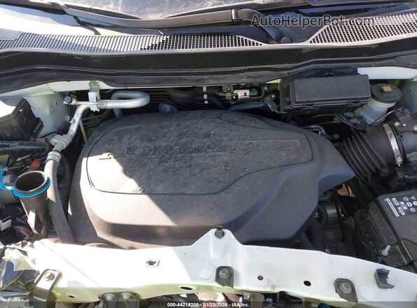 5FNYF8H80RB007409 2024 HONDA PASSPORT Белый Вид сзади