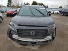 2024 Honda Passport Black Edition Черный vin: 5FNYF8H8XRB501700