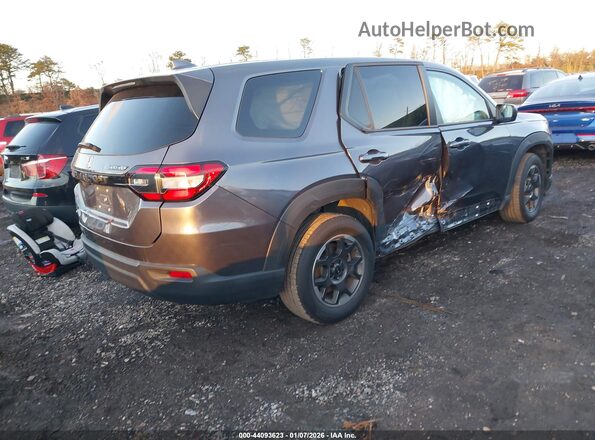 5FNYG1H26PB024342 2023 HONDA PILOT Серый Задняя правая четверть