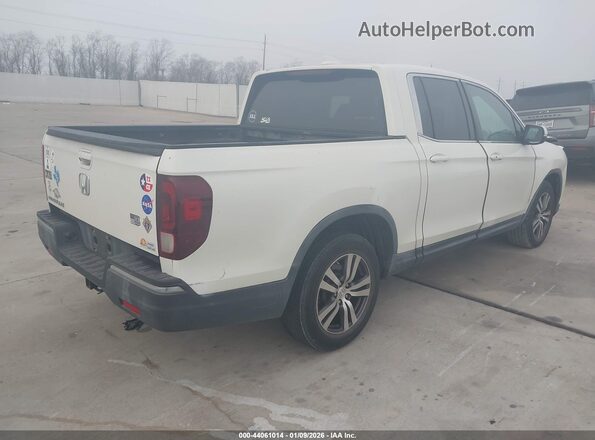 5FPYK2F42HB011783 2017 HONDA RIDGELINE Белый Задняя правая четверть