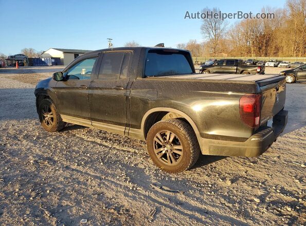 5FPYK3F11HB017196 2017 HONDA RIDGELINE Черный Задняя левая четверть