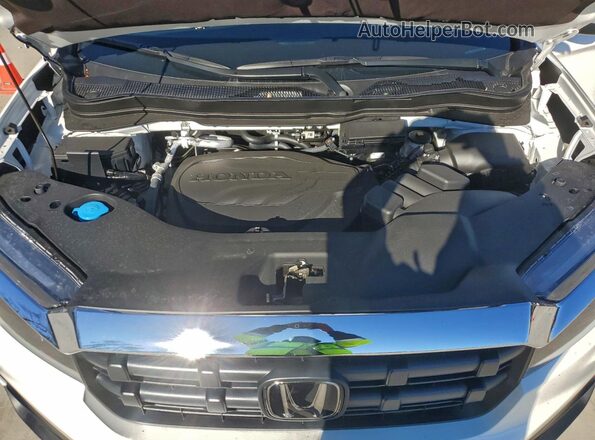 5FPYK3F50SB050216 2025 HONDA RIDGELINE Белый Вид задней части салона