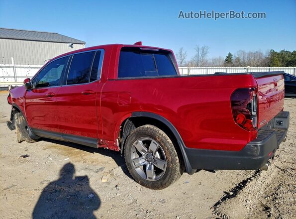 5FPYK3F54RB013633 2024 HONDA RIDGELINE Красный Задняя левая четверть
