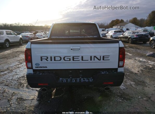 5FPYK3F56SB010237 2025 HONDA RIDGELINE Белый 