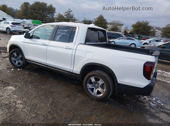 5FPYK3F56SB010237 2025 HONDA RIDGELINE Белый Задняя левая четверть
