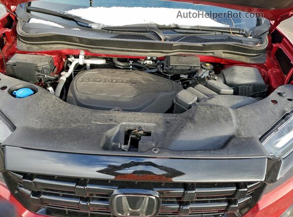 5FPYK3F8XRB000301 2024 HONDA RIDGELINE Red Widok wnętrza z tyłu