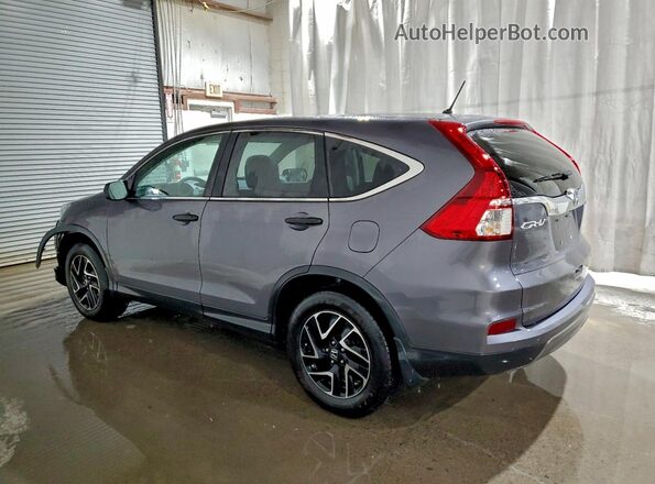 5J6RM4H43GL025391 2016 HONDA CR-V Серебряный Задняя левая четверть