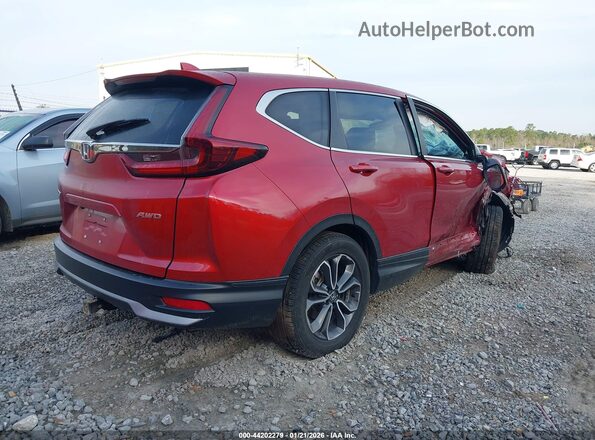 5J6RW2H80LL008690 2020 HONDA CR-V Red Tył prawy
