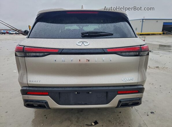 5N1AL1FR1SC357952 2025 INFINITI QX60 Желто-коричневый Вид сзади