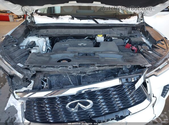 5N1DL1GS6PC368290 2023 INFINITI QX60 White Rear view