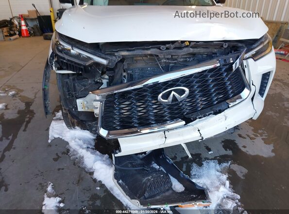 5N1DL1GS6PC368290 2023 INFINITI QX60 White Front view