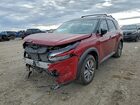 2023 Nissan Pathfinder Sl Red vin: 5N1DR3CC6PC216583