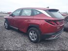 2025 Hyundai Tucson Se Maroon vin: 5NMJA3DE8SH600406 2025 Hyundai Tucson Se Maroon vin: 5NMJA3DE8SH600406