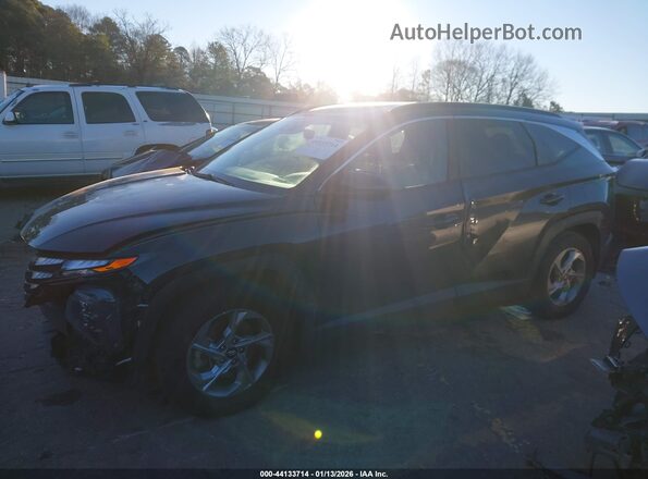 5NMJB3AE3PH230720 2023 HYUNDAI TUCSON Серый Панорамный вид салона 360°