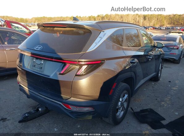 5NMJB3AE3PH230720 2023 HYUNDAI TUCSON Серый Задняя правая четверть