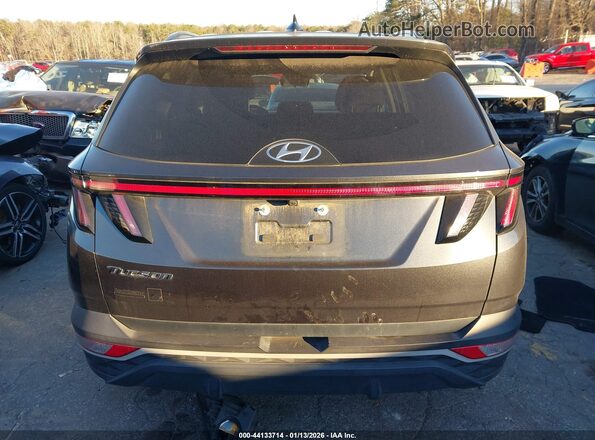 5NMJB3AE3PH230720 2023 HYUNDAI TUCSON Серый 