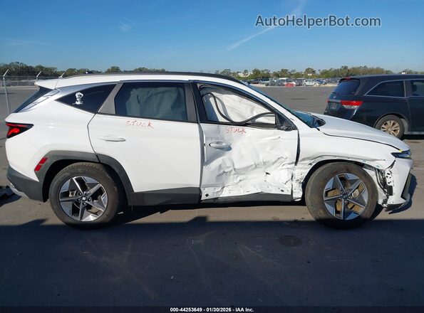 5NMJB3DEXSH514527 2025 HYUNDAI TUCSON White Սալոնի հետևի տեսք