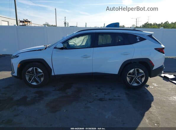 5NMJB3DEXSH514527 2025 HYUNDAI TUCSON White Սալոնի 360 աստիճան տեսք