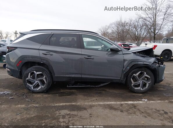 5NMJFCDE8RH377585 2024 HYUNDAI TUCSON Серый Вид задней части салона