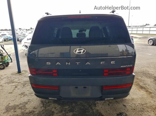 5NMP2DG15SH050202 2025 HYUNDAI SANTA Серый Вид сзади