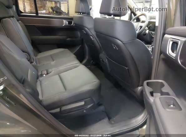 5NMP2DG19SH047075 2025 HYUNDAI SANTA FE HYBRID Зеленый Вид наклейки с VIN-кодом