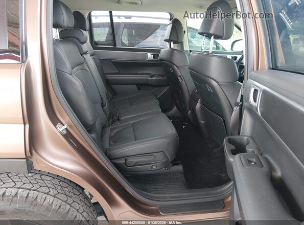 5NMP3DGL6RH024684 2024 HYUNDAI SANTA FE Brown Vista de la etiqueta del VIN