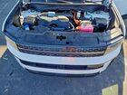 2024 Hyundai Santa Fe Calligraphy White vin: 5NMP5DG11RH006019