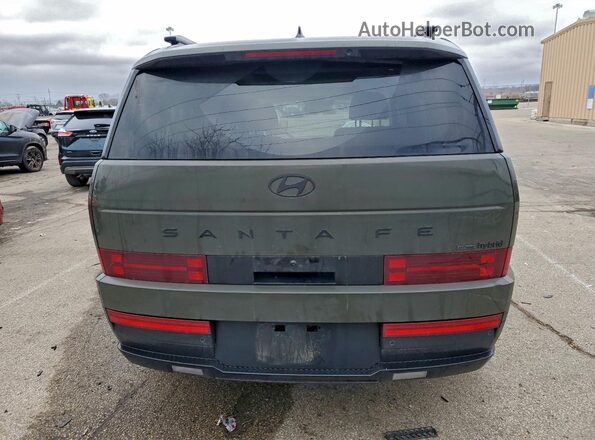 5NMP5DG11SH021934 2025 HYUNDAI SANTA FE CALLIGRAPHY Green Widok z tyłu
