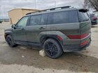 2025 Hyundai Santa Fe Calligraphy Green vin: 5NMP5DG11SH021934