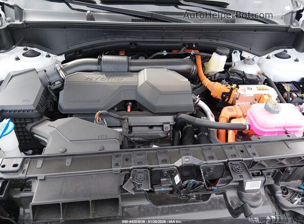 5NMP5DG13TH073339 2026 HYUNDAI SANTA FE HYBRID White Հետևի տեսք