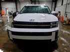 2025 Hyundai Santa Fe Calligraphy White vin: 5NMP5DGL3SH070330