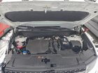 2025 Hyundai Santa Fe Calligraphy White vin: 5NMP5DGL3SH070330