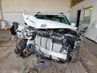 2024 Hyundai Santa Fe Calligraphy White vin: 5NMP5DGL9SH080389