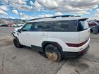2024 Hyundai Santa Fe Calligraphy White vin: 5NMP5DGL9SH080389