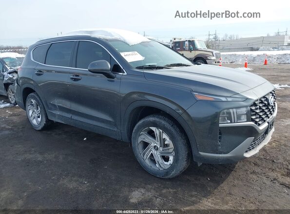 5NMS1DAJ6PH605641 2023 HYUNDAI SANTA FE Gray Передня права чверть