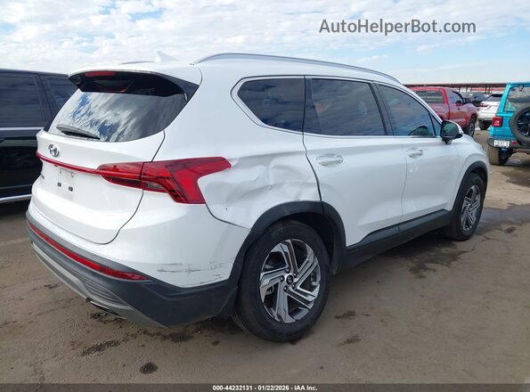 5NMS24AJXPH504261 2023 HYUNDAI SANTA FE Белый Задняя правая четверть