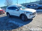 2023 Hyundai Santa Fe Sel White vin: 5NMS2DAJ3PH651411