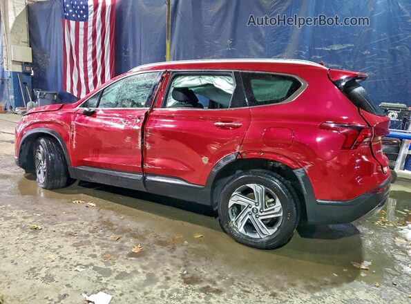 5NMS2DAJ8PH547612 2023 HYUNDAI SANTA Red Հետևի ձախ