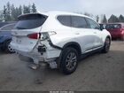 2020 Hyundai Santa Fe Sel White vin: 5NMS3CAD1LH169600
